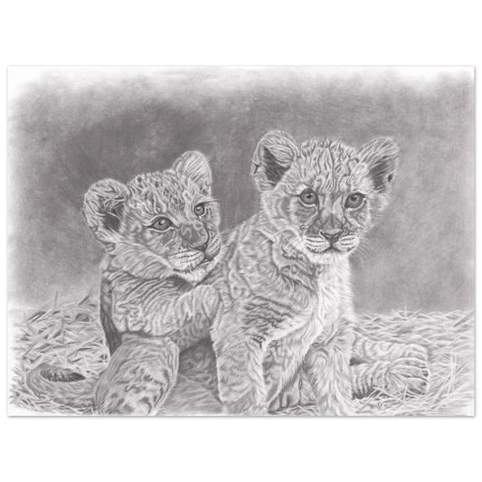 05c39039-344d-4a8c-b301-5dc7ed65283d