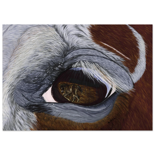 1a0a7303-9729-43d5-b685-1b11e7652801