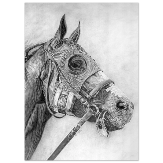 6ca3507a-3ed3-4df1-bf82-252ec3645e93