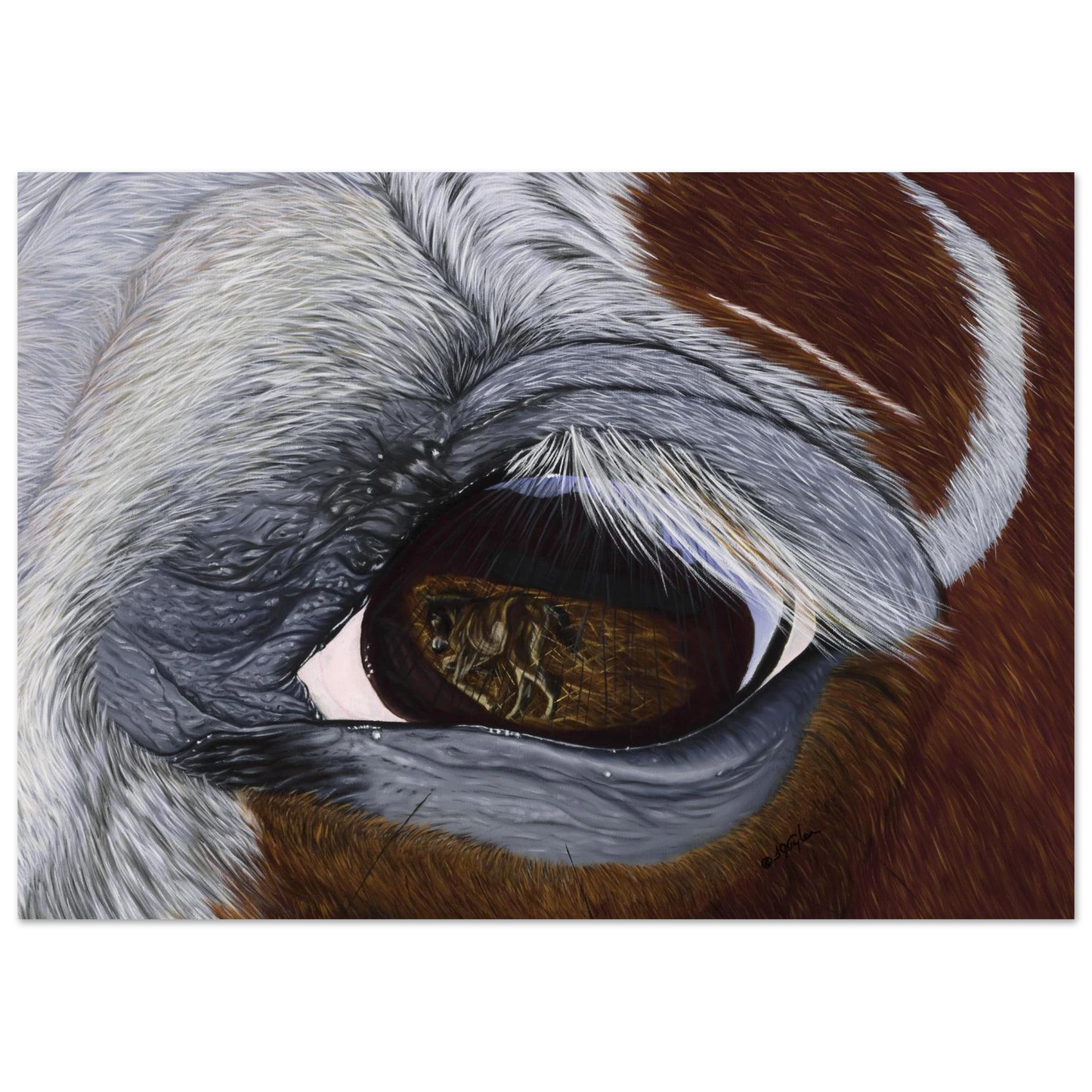 1a0a7303-9729-43d5-b685-1b11e7652801