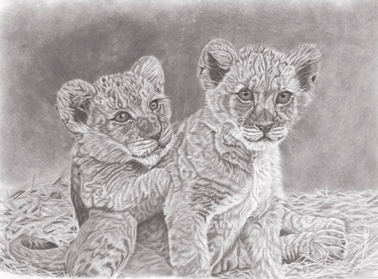Lion Cubs