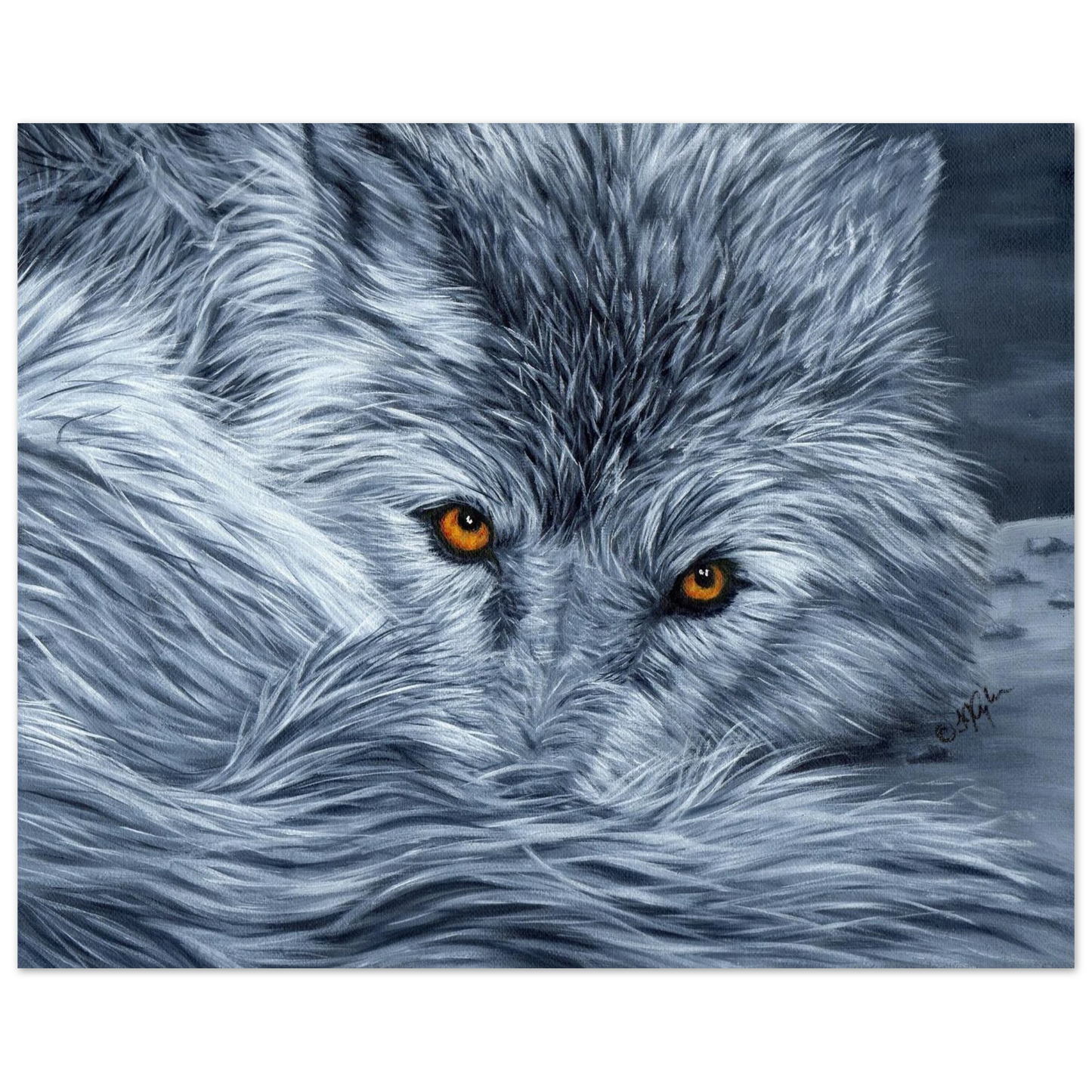 a9cf7912-68e5-4529-a079-e2fe6e59956c